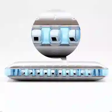 BOOGIEMAN Dophin( 10(Blues)