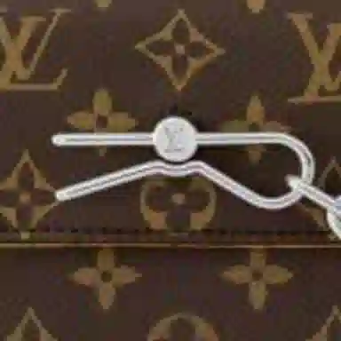Louis Vuitton Steamer