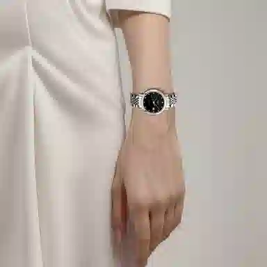 LONGINES 29mm L4.310.4.57.6