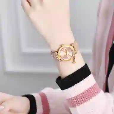 Vivienne Westwood DWVV006PKPK