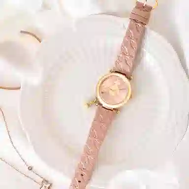 Vivienne Westwood DWVV006PKPK