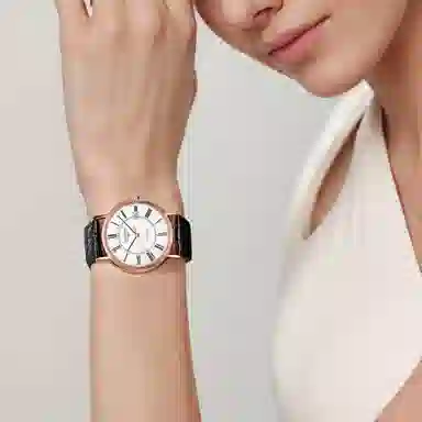 LONGINES 38.5mm L4.921.1.11.2