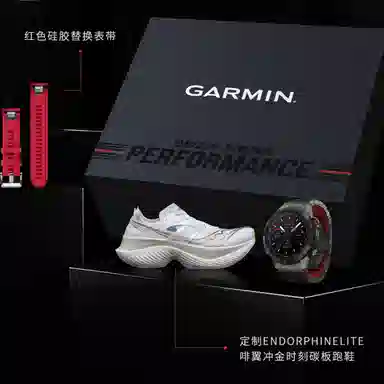 GARMIN - MARQ2