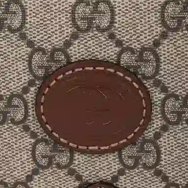 Gucci Mini Messenger Bag Brown