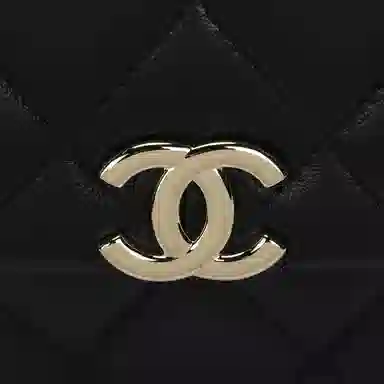 Chanel 25S