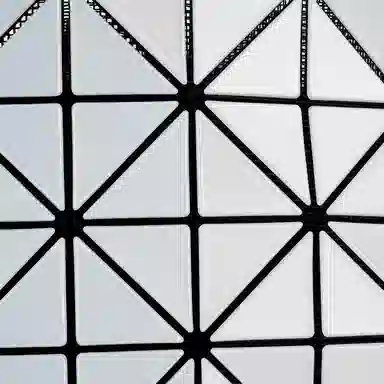 ISSEY MIYAKE Baguette 6