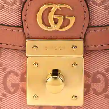 Gucci Ophidia Pink