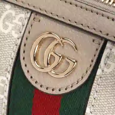 Gucci Ophidia Mini