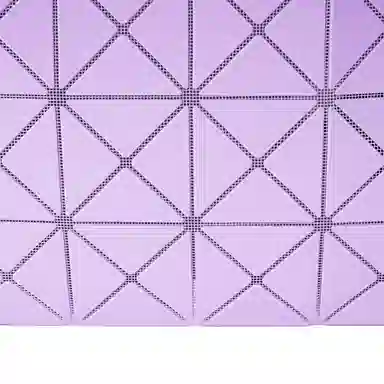 ISSEY MIYAKE LUCENT W COLOR Tote