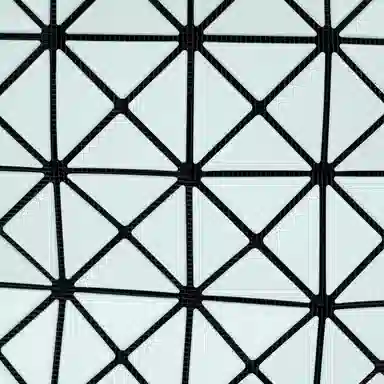 ISSEY MIYAKE WRING MATTE PVC