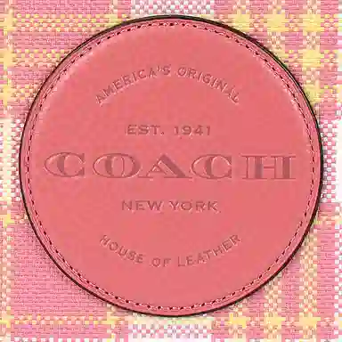COACH Dempsey 22 Tote