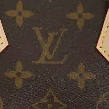 Louis Vuitton Speedy 20