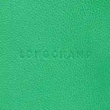 Longchamp Le Foulonné Green