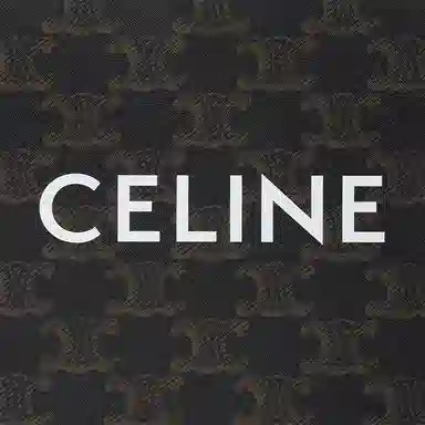 CELINE Tote Bag Medium Black