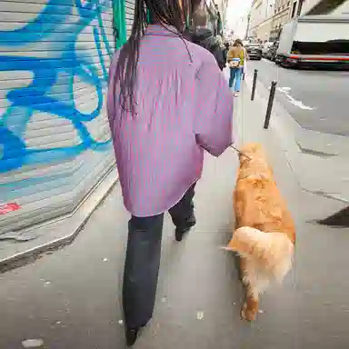 Supreme x MM6 Maison Margiela Padded Shirt