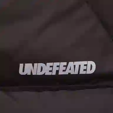 UNDEFEATED FW25 Striped Logo Zipper Down Jacket