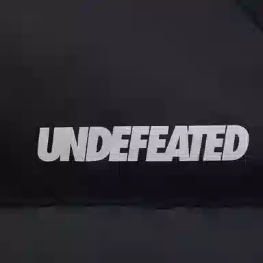 UNDEFEATED FW25 Striped Logo Zipper Down Jacket