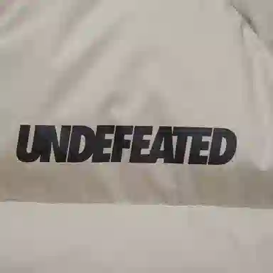 UNDEFEATED FW25 Striped Logo Zipper Down Jacket
