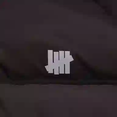 UNDEFEATED FW25 Striped Logo Zipper Down Jacket