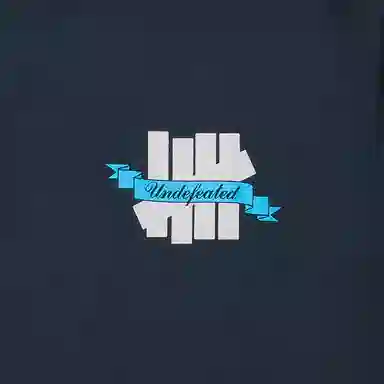 UNDEFEATED FW25 LogoT