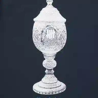 UNDEFEATED FW25 LogoT