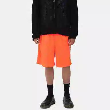 Stussy Collegiate Mesh Short