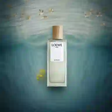 LOEWE EDT 50ml75ml100ml
