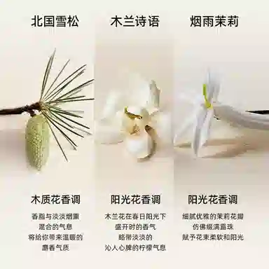 Chloe EDP 10m+10ml+10ml