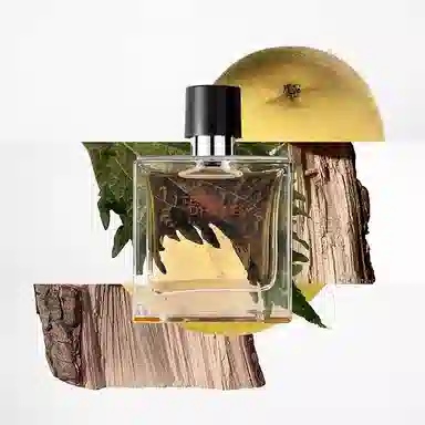 Hermes Terre d'Hermes Parfum EDP 12.5ml
