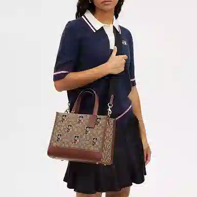 COACH x Disney Dempsey 29 Tote