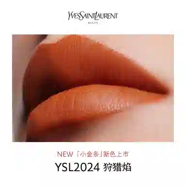 YSL 520