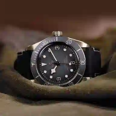 Tudor Black Bay M79250BA-0001