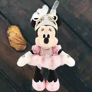 Disney 21cm