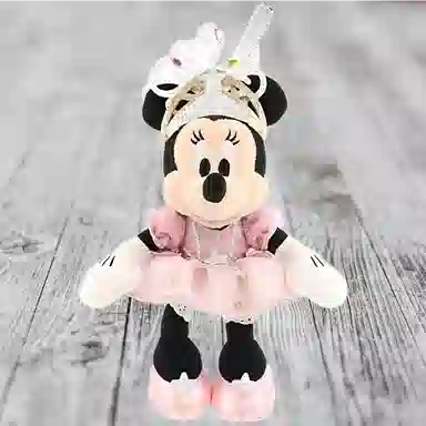Disney 21cm