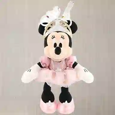 Disney 21cm