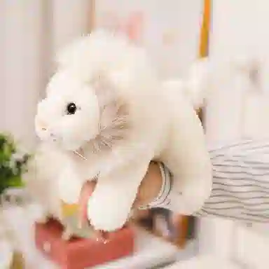 20cm25cm35cm