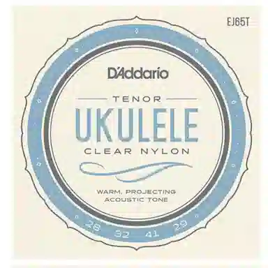 D'Addario EJ65