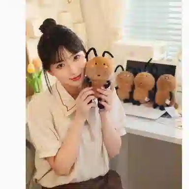 20cm30cm