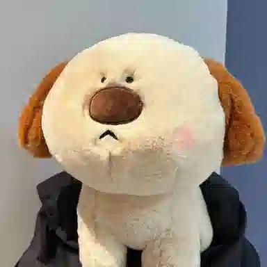 30cm40cm
