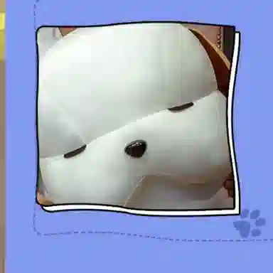 45cm30cm
