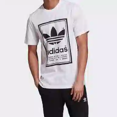 adidas originals Vintage Tee White T