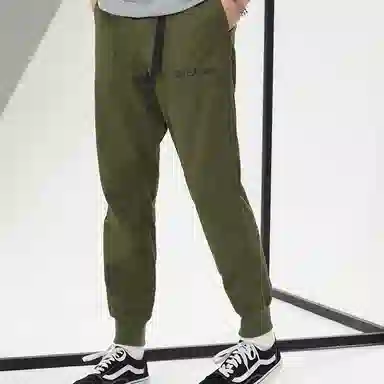 Dickies Logo