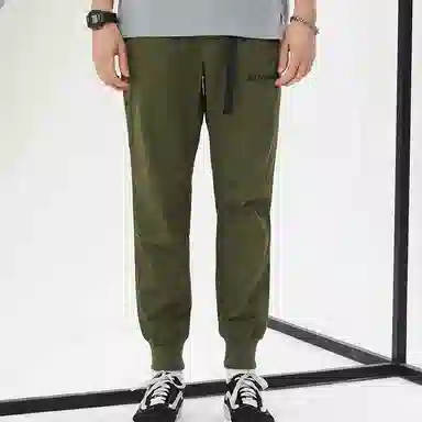Dickies Logo