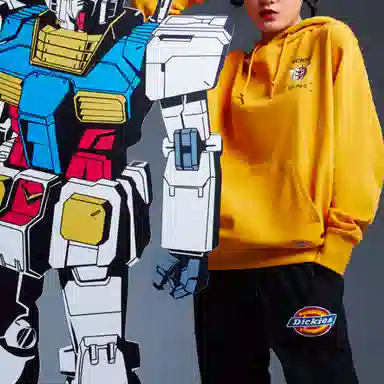 Dickies x