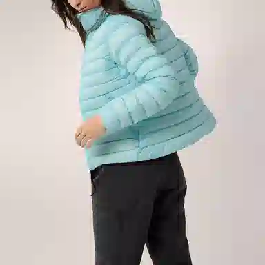 Arcteryx Cerium Hoody