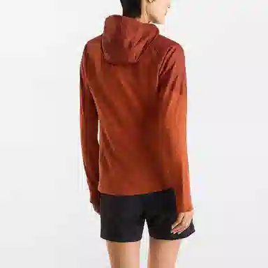Arcteryx Delta Hybrid