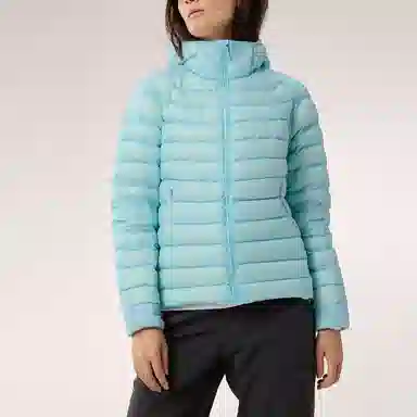 Arcteryx Cerium Hoody