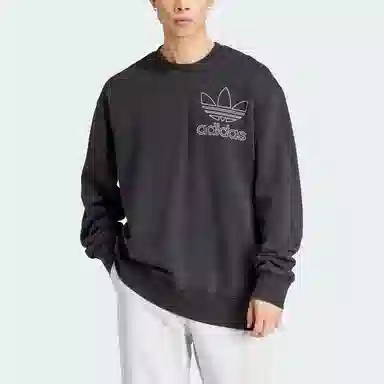 adidas originals Adicolor Outline Sweatshirt Logo