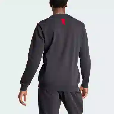 adidas FW23 CNY Logo