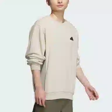 adidas City Escape Blocking Sweatshirt